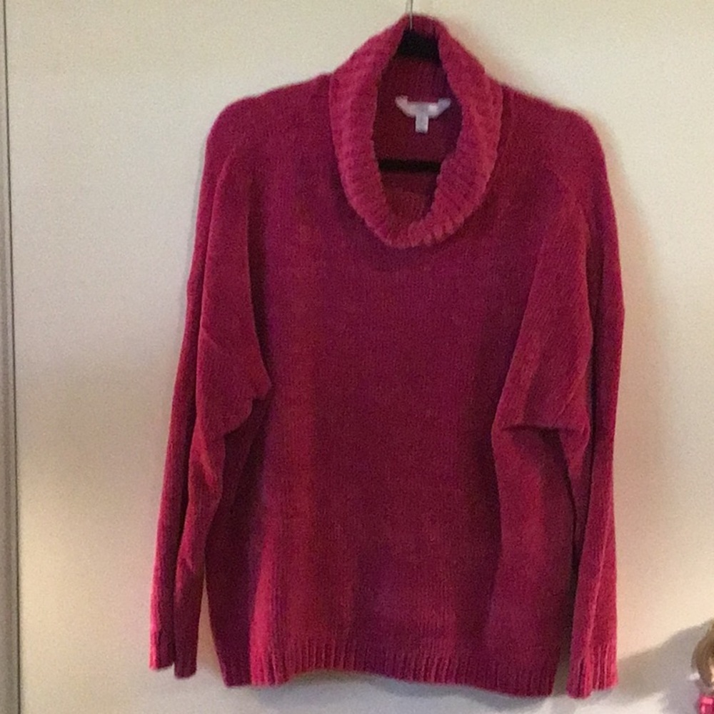 Time and Tru Women’s Sweater